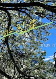 小兰和新一画画